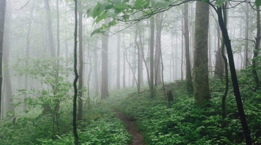 5 Top Books Read in 2021