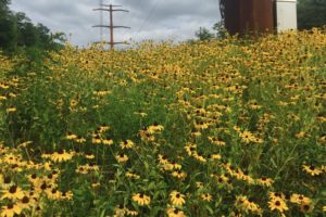Overcoming Spiritual Stuckness