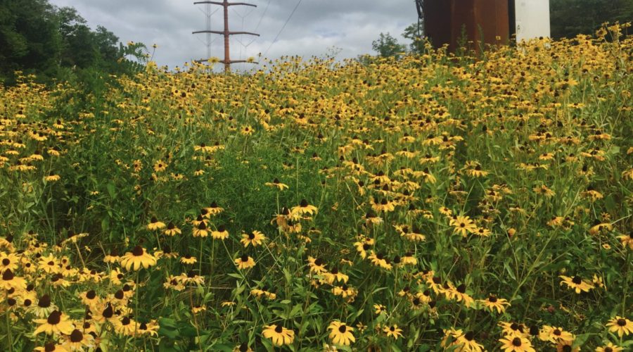 Overcoming Spiritual Stuckness