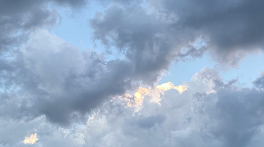 Every Book of the Bible Summed Up in a Single Sentence