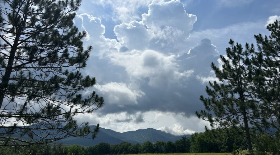 We Still Need The Tender Science