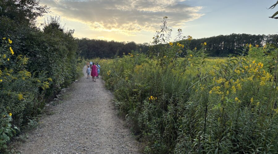 On This Current Moment